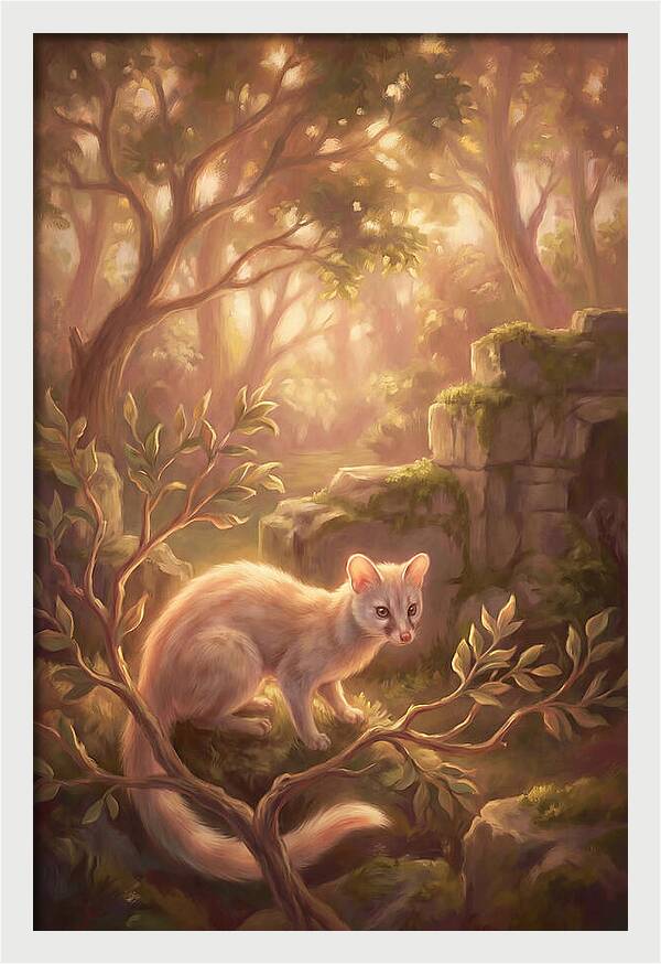 Genet In Enchanted Forest