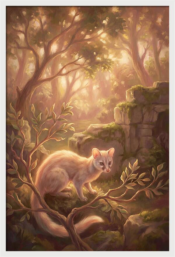 Genet In Enchanted Forest