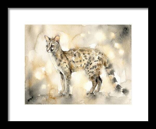 Genet In Watercolor Elegance