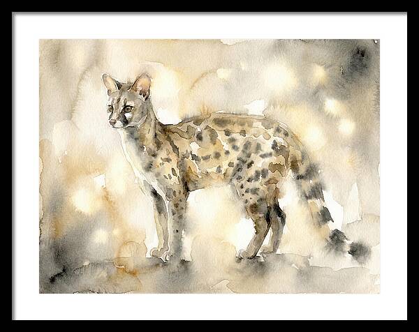 Genet In Watercolor Elegance