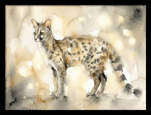 Genet In Watercolor Elegance