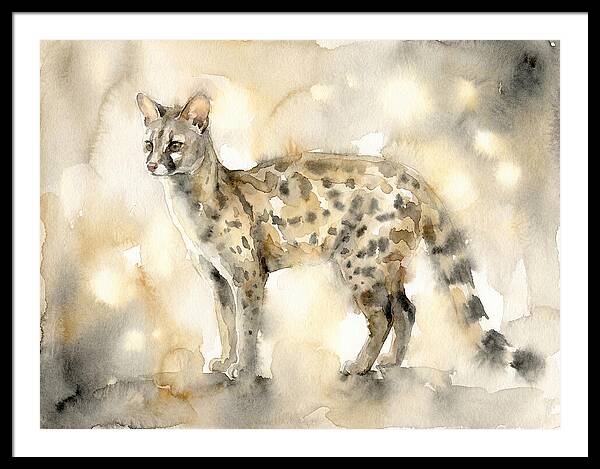 Genet In Watercolor Elegance