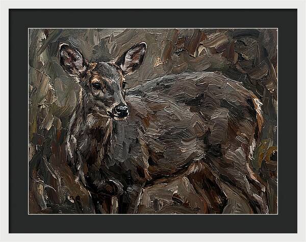 Gentle Gray Brocket Amidst Foliage