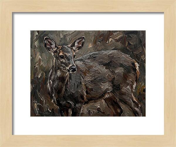 Gentle Gray Brocket Amidst Foliage