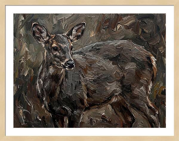 Gentle Gray Brocket Amidst Foliage