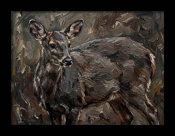 Gentle Gray Brocket Amidst Foliage