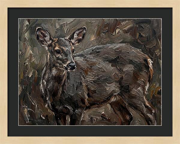 Gentle Gray Brocket Amidst Foliage