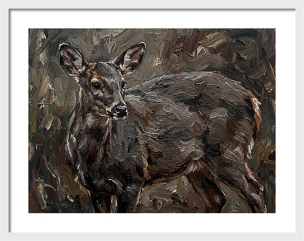 Gentle Gray Brocket Amidst Foliage