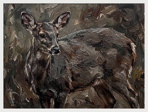 Gentle Gray Brocket Amidst Foliage