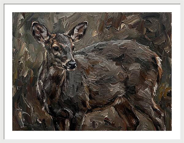 Gentle Gray Brocket Amidst Foliage