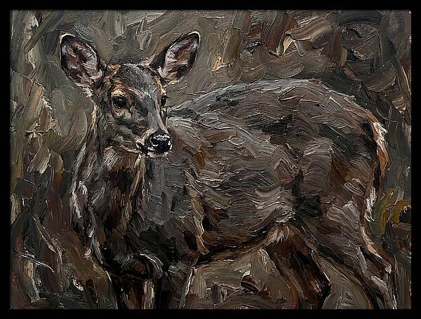 Gentle Gray Brocket Amidst Foliage