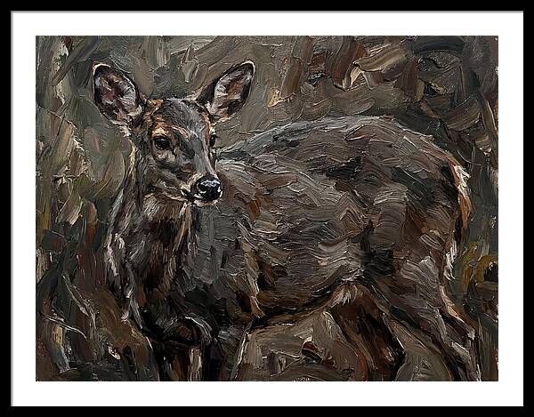 Gentle Gray Brocket Amidst Foliage