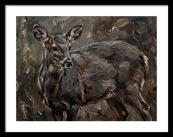 Gentle Gray Brocket Amidst Foliage