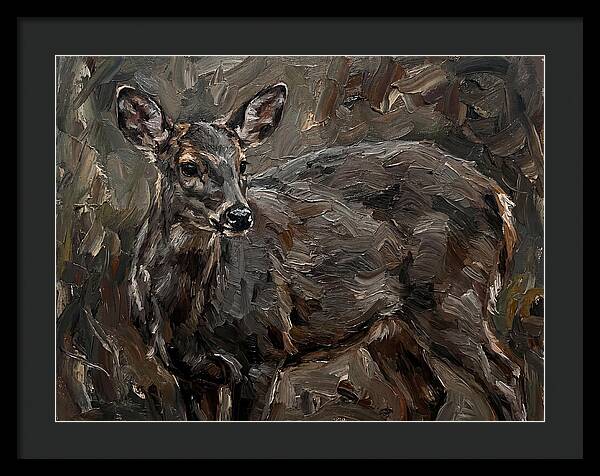 Gentle Gray Brocket Amidst Foliage