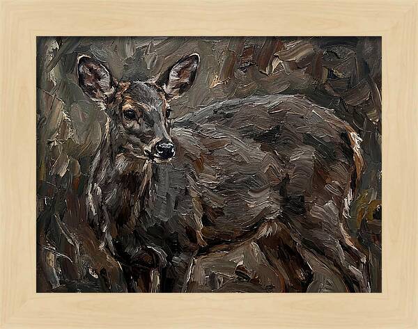 Gentle Gray Brocket Amidst Foliage