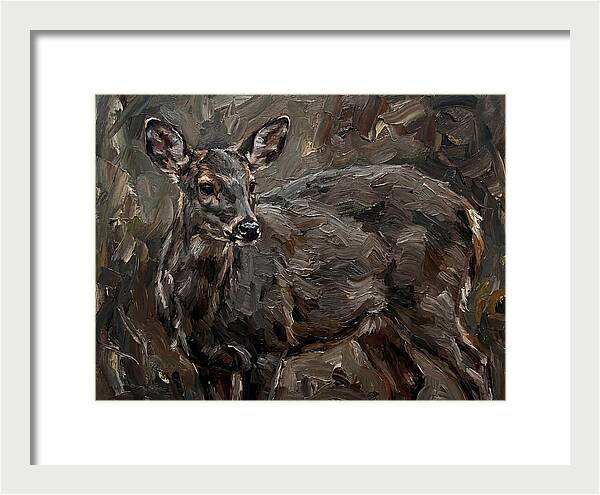 Gentle Gray Brocket Amidst Foliage