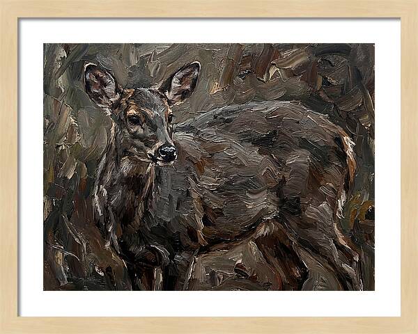 Gentle Gray Brocket Amidst Foliage