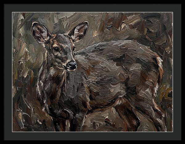 Gentle Gray Brocket Amidst Foliage