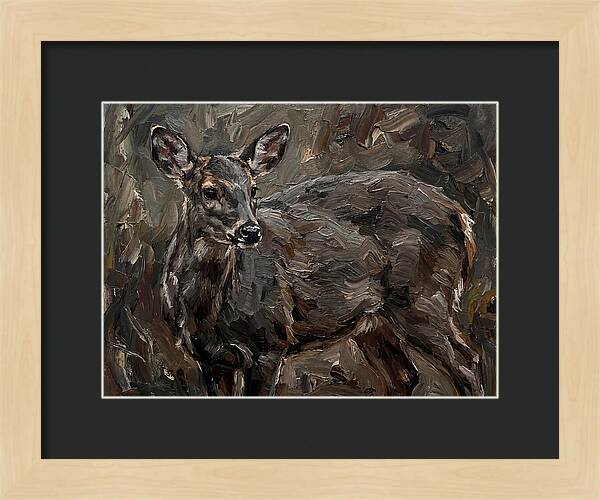 Gentle Gray Brocket Amidst Foliage