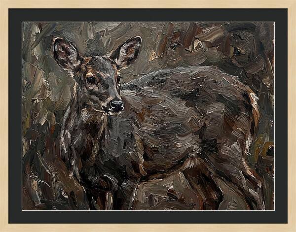 Gentle Gray Brocket Amidst Foliage