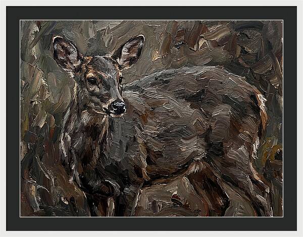Gentle Gray Brocket Amidst Foliage