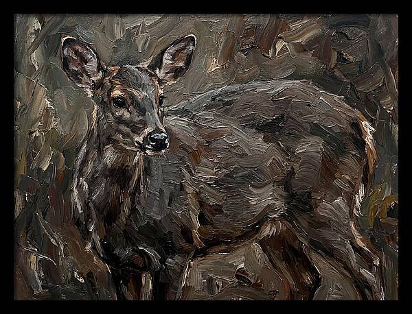 Gentle Gray Brocket Amidst Foliage