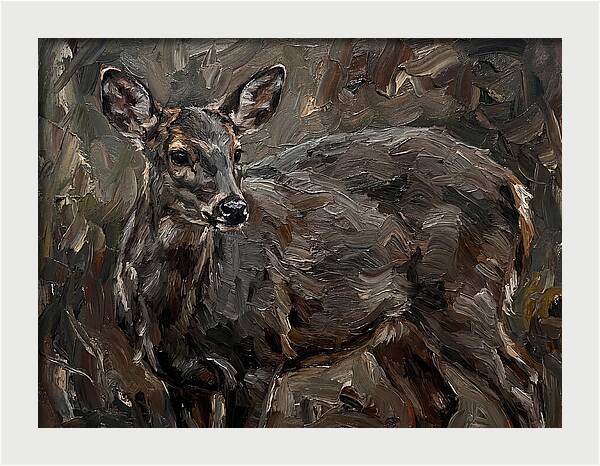 Gentle Gray Brocket Amidst Foliage