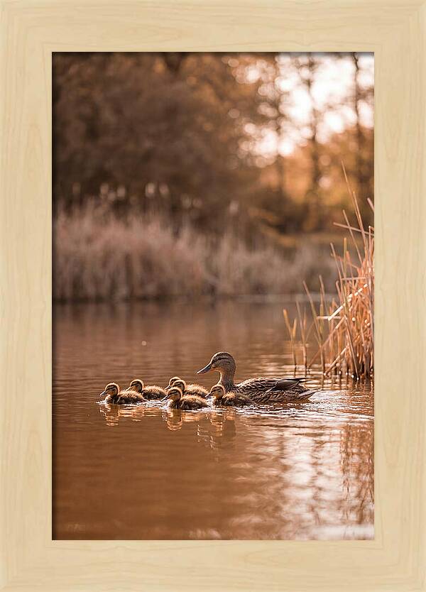 Gentle Moments By The Pond