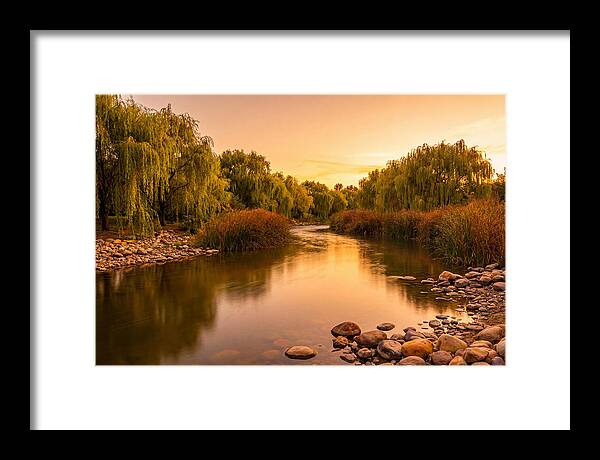 Gentle River Bend With Weeping Willows
