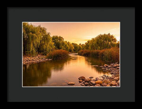 Gentle River Bend With Weeping Willows