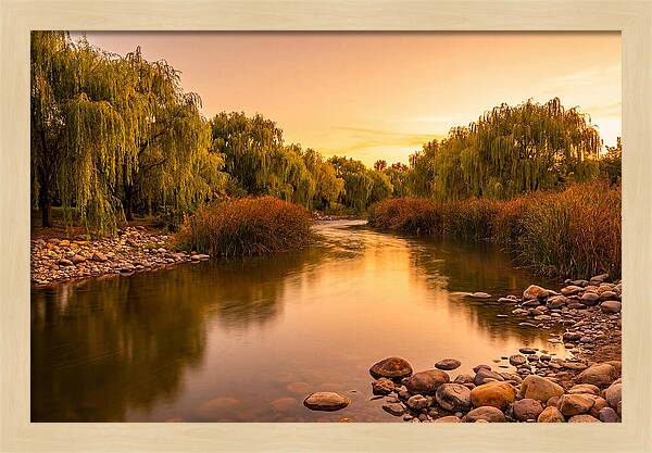 Gentle River Bend With Weeping Willows