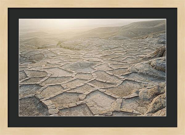 Geometric Tessellation Pattern
