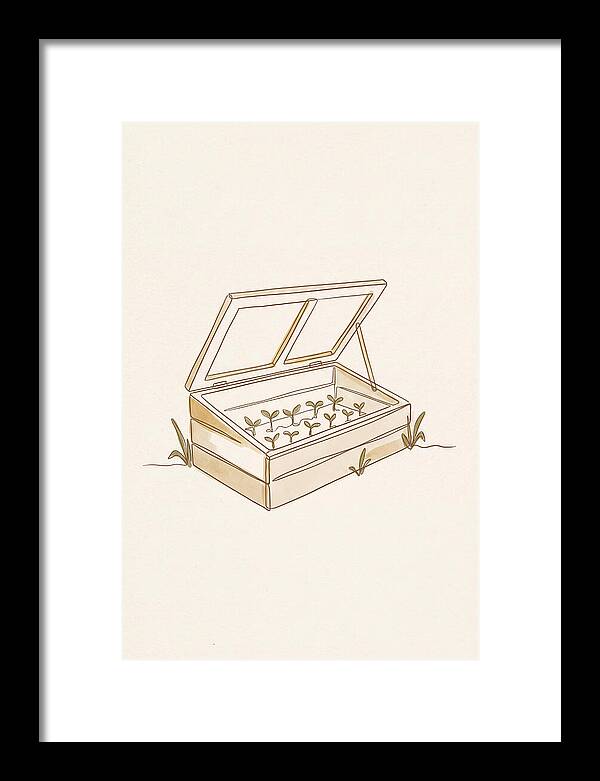 Germinating Dreams In A Cold Frame