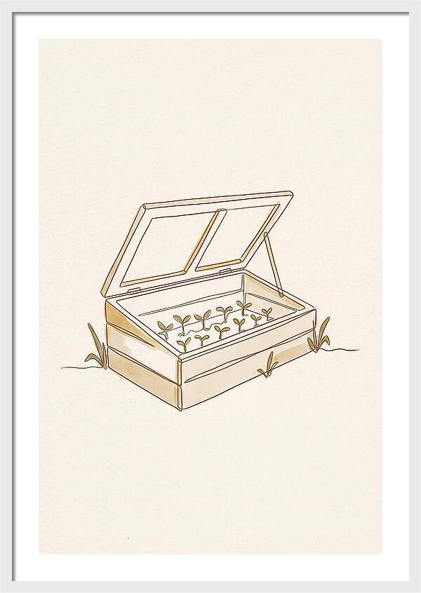 Germinating Dreams In A Cold Frame