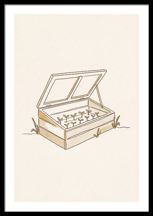 Germinating Dreams In A Cold Frame