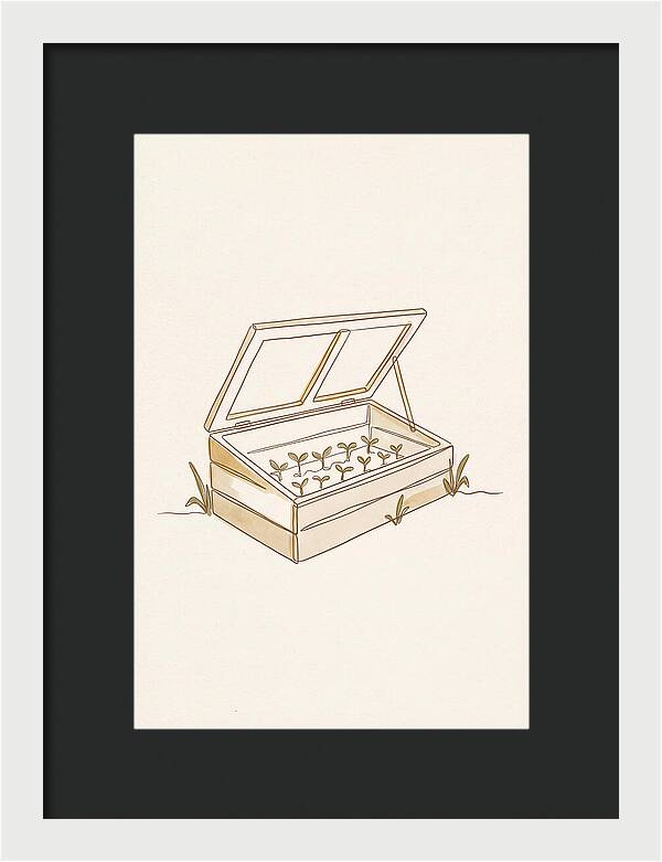 Germinating Dreams In A Cold Frame