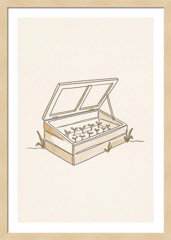 Germinating Dreams In A Cold Frame