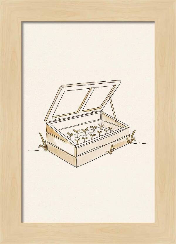 Germinating Dreams In A Cold Frame