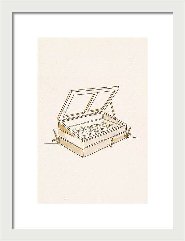 Germinating Dreams In A Cold Frame