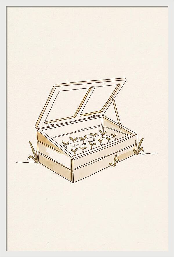 Germinating Dreams In A Cold Frame