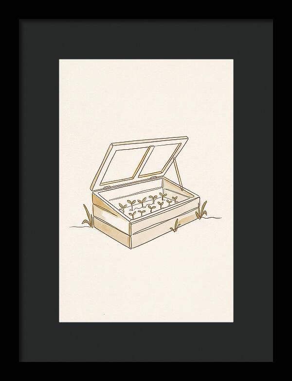 Germinating Dreams In A Cold Frame