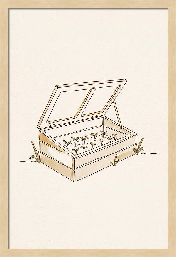 Germinating Dreams In A Cold Frame