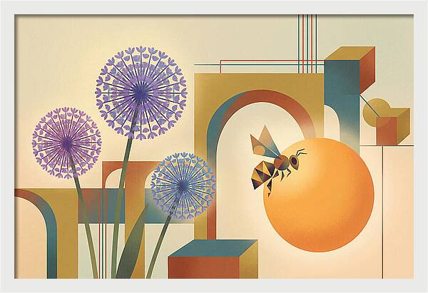 Giant Allium And Bee
