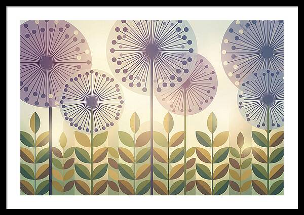 Giant Allium Globes Rising Above Green