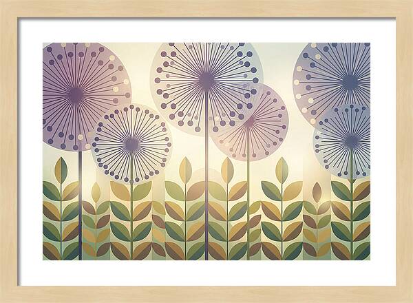 Giant Allium Globes Rising Above Green