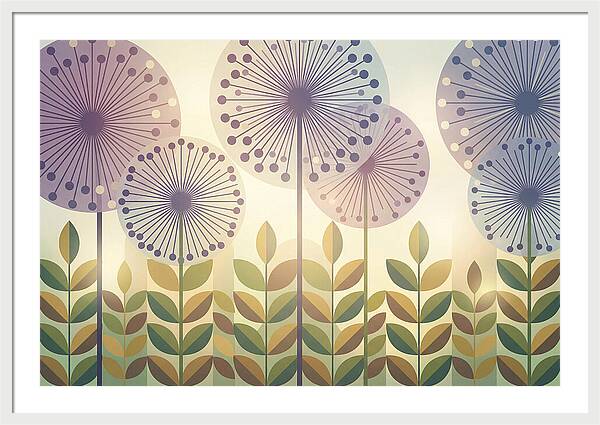 Giant Allium Globes Rising Above Green
