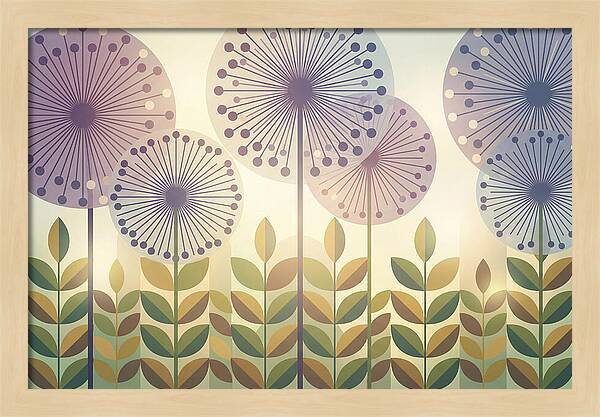 Giant Allium Globes Rising Above Green