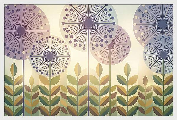 Giant Allium Globes Rising Above Green