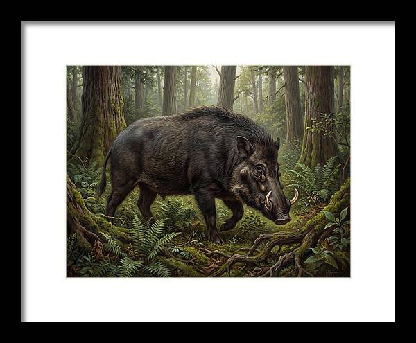 Giant Forest Hog In The Wild