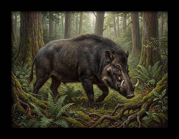 Giant Forest Hog In The Wild